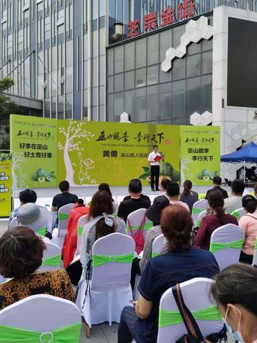 重慶李子年產量約68.8萬噸,脆李種植戶基本實現家門口就能投遞