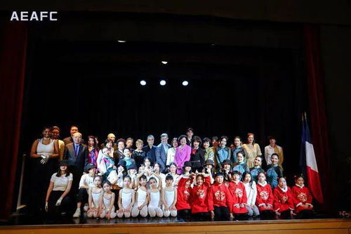 中法文化藝術交流協(xié)會迎春活動暨pde國際舞蹈展演季新聞發(fā)布會